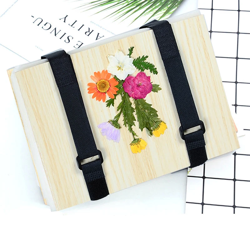 1 Set Plant Specimen Tool Kit  - Ink Blotter Paper recension och pris